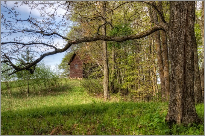 Baker's cabin WEB