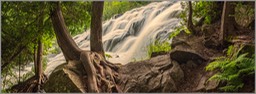 Bond falls WEB