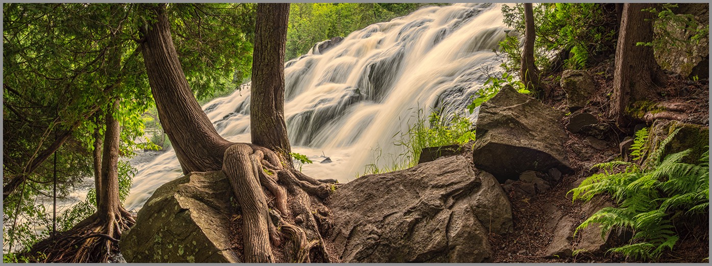 Bond falls WEB