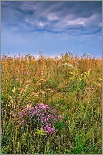 Prairie Storm WEB