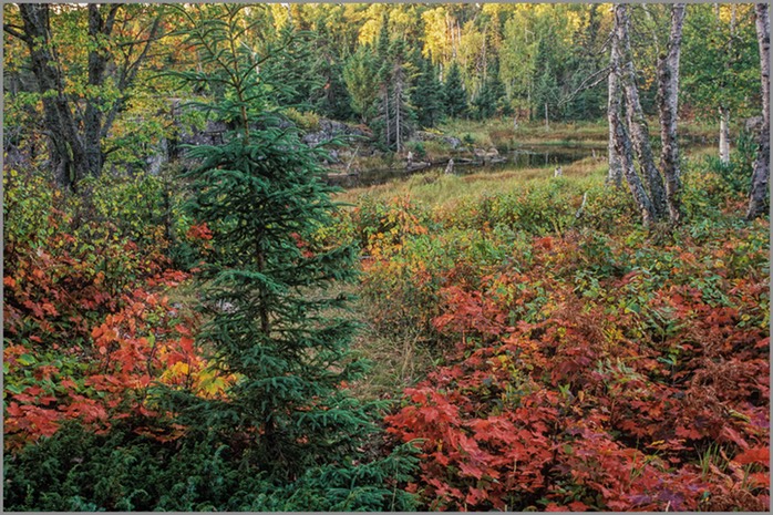 Refuge (Isle Royale) WEB