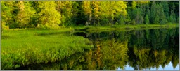 Still Waters WEB