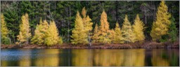 Tamarack pano 4 WEB